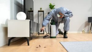 Rental upkeep appreciation gesture